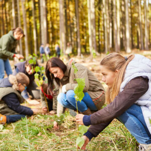 Familie und Freiwillige pflanzen Bäume im Wald