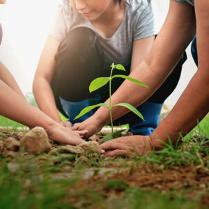 Des gens qui aident à planter des arbres dans la nature pour sauver la terre