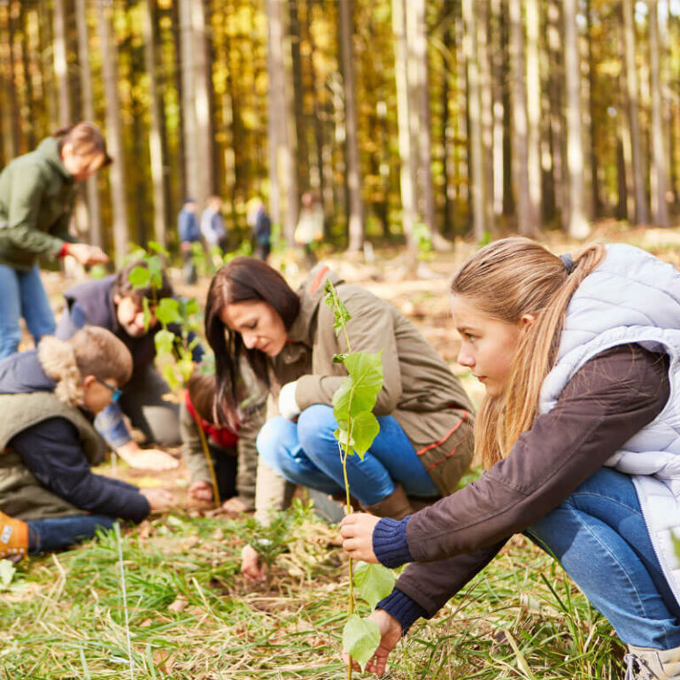 Family and volunteers plant trees in the forest